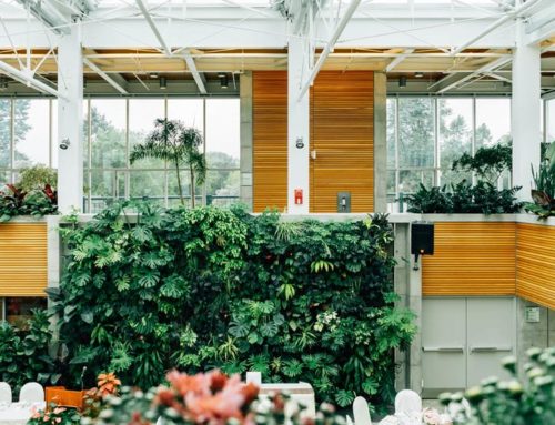 What is Biophilic Design & Why Does it Matter?