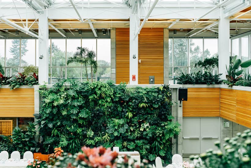 what is biophilic design & why does it matter?