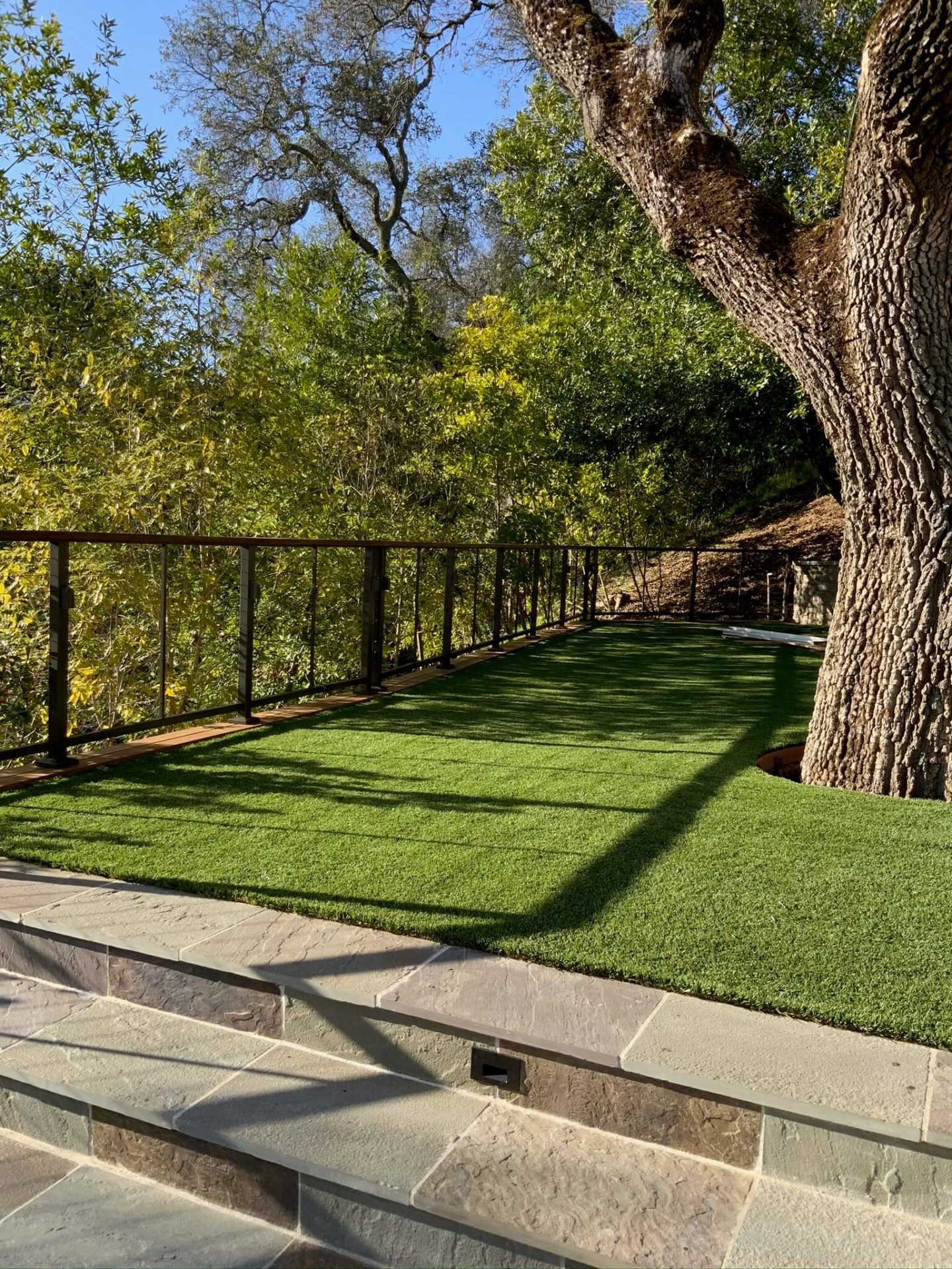 backyard cable railing system with artificial turf and old growth oak tree