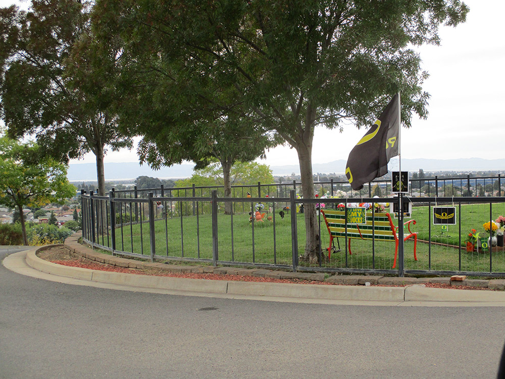 Cable railings installed by our team at a park